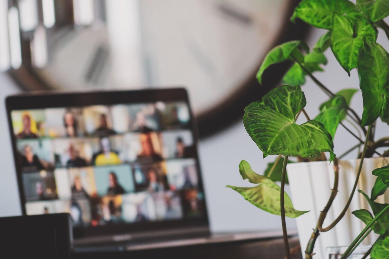 Online Meeting