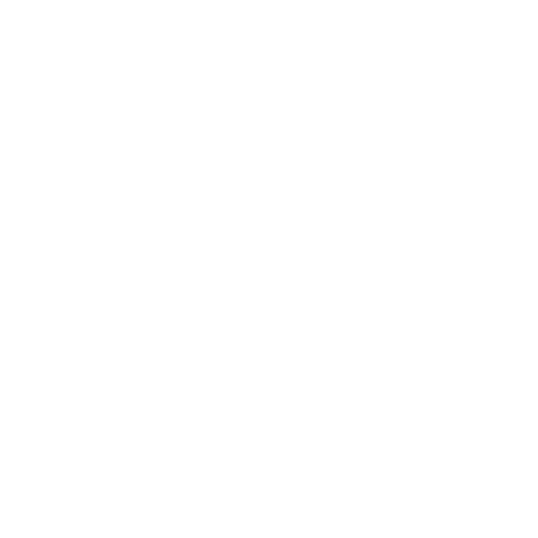 Instagram Icon